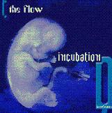 incubationfirst.jpg